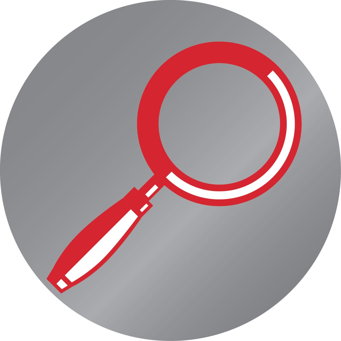 Icon Displaying a Magnifying Glass